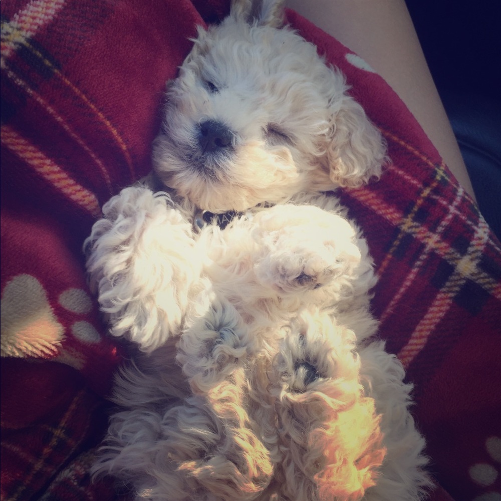 Isn’t he adorable